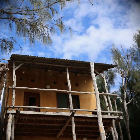 Tree House Cottage, Ocean View Praia do Praia do Tofo 外观 照片