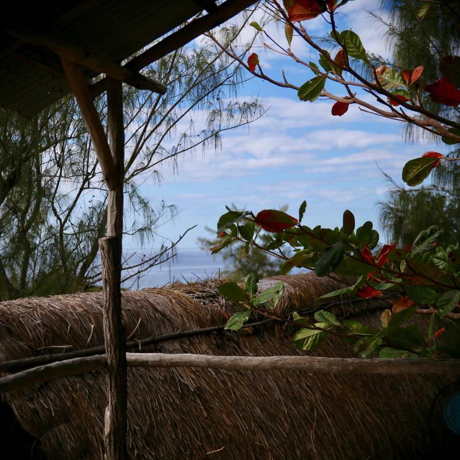 Tree House Cottage, Ocean View Praia do Praia do Tofo 外观 照片